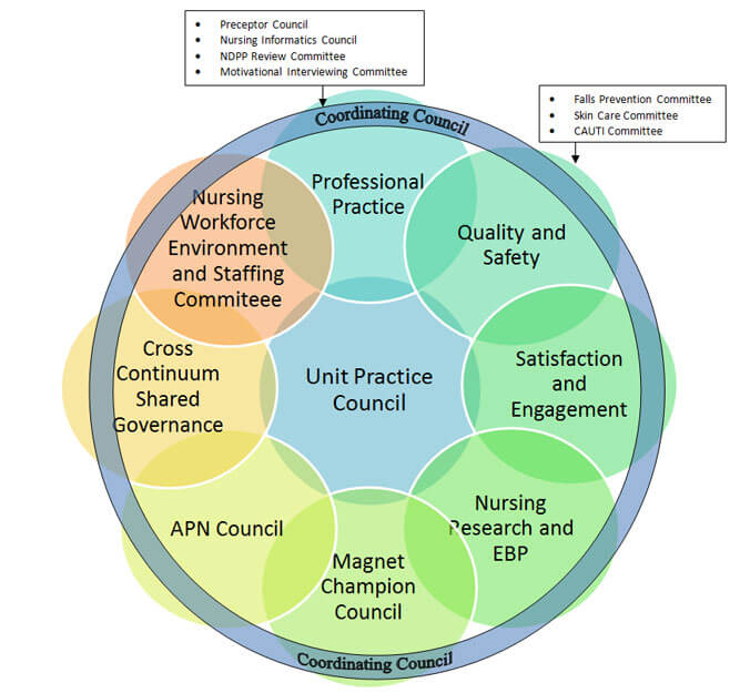 Coordinating Council Structure